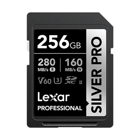 Lexar SD serie Silver 256GB