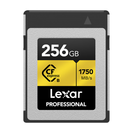 MEMORIA LEXAR 256GB...